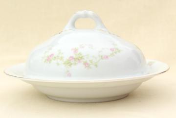 catalog photo of old pink roses Schwarzburg china, round covered butter dish or pancake server