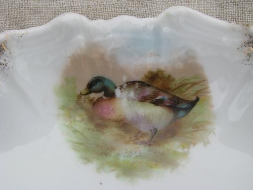 photo of old porcelain crescent plates bone dishes w/ game birds, grouse and ducks #5