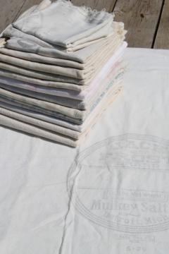 catalog photo of old unbleached cotton fabric feedsacks lot, assorted vintage flour sacks & grain bags