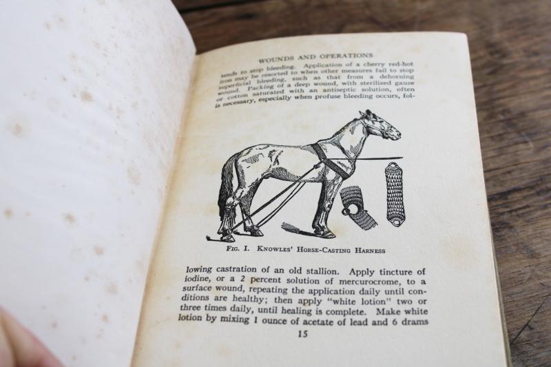 photo of old veterinary book, medical adviser farm animal health & remedies 1920s vintage #2