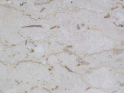 photo of vintage white marble slab for mantle #2