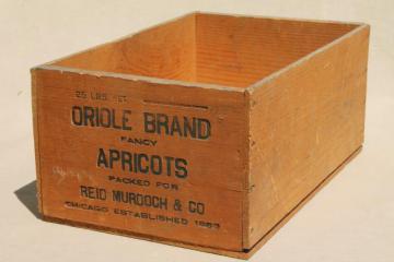 catalog photo of old wooden fruit crate, vintage wood packing shipping box for Oriole apricots