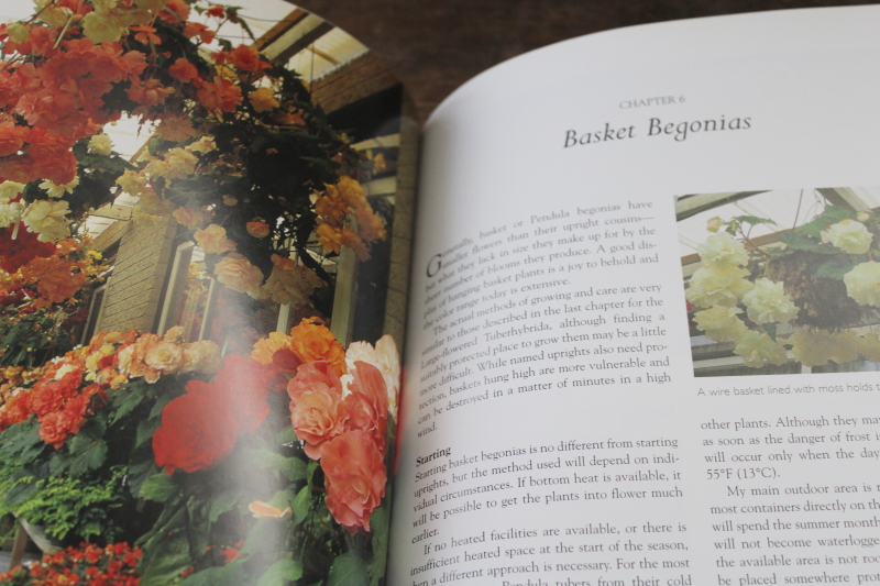 photo of out of print gardening book Begonias, flower types, varieties w/ color photos  #3
