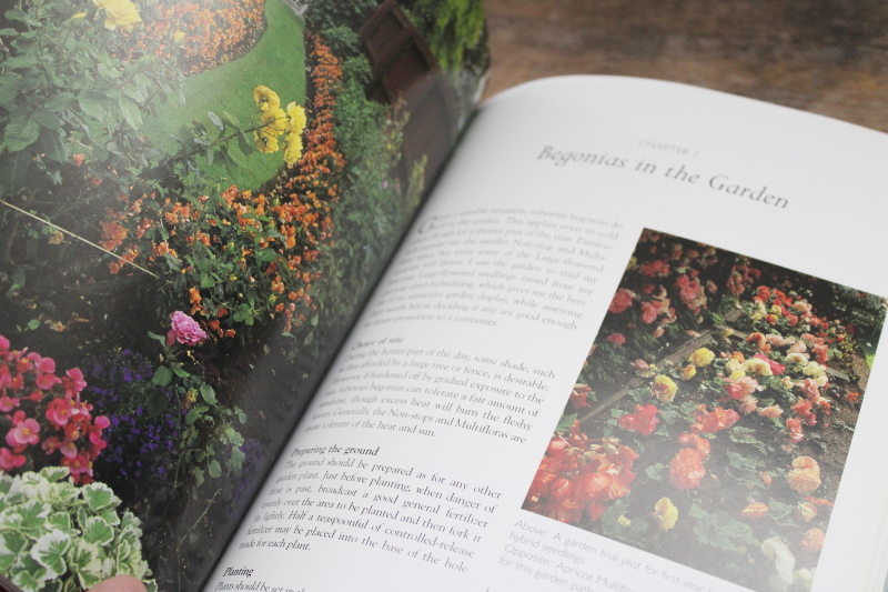 photo of out of print gardening book Begonias, flower types, varieties w/ color photos  #4
