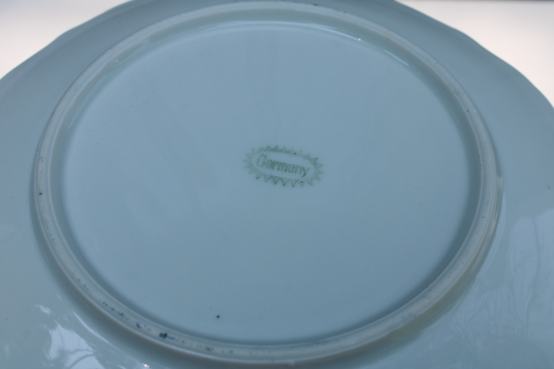 photo of pair of antique china plates, white swans on aqua lake, late 1800s Germany porcelain  #8
