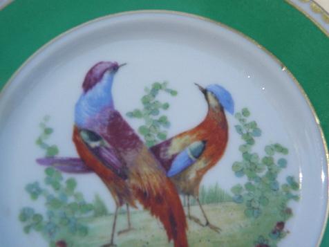 photo of pair of pheasants, antique vintage English china plate, old anchor mark #2