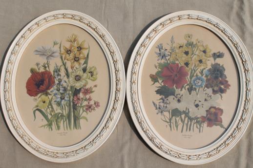 photo of pair of vintage floral botanical flower prints in oval wood picture frames #1