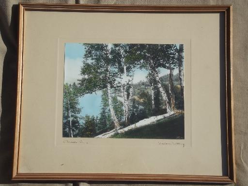 photo of pencil signed Wallace Nutting print, Birch Hilltop hand colored vintage photo #1