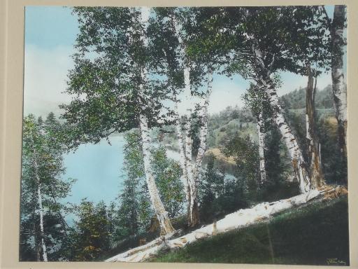 photo of pencil signed Wallace Nutting print, Birch Hilltop hand colored vintage photo #2