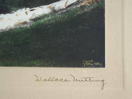 photo of pencil signed Wallace Nutting print, Birch Hilltop hand colored vintage photo #3
