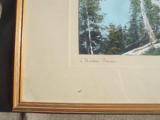 photo of pencil signed Wallace Nutting print, Birch Hilltop hand colored vintage photo #4