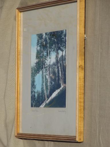 photo of pencil signed Wallace Nutting print, Birch Hilltop hand colored vintage photo #5