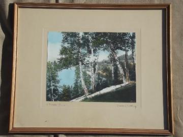 catalog photo of pencil signed Wallace Nutting print, Birch Hilltop hand colored vintage photo