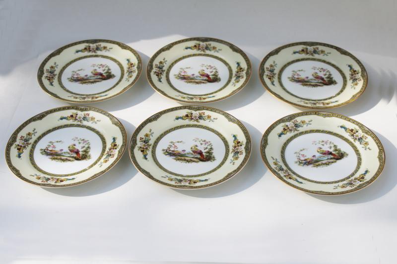 photo of pheasants pattern vintage Windsor Noritake M mark china bread plates hand painted birds #1
