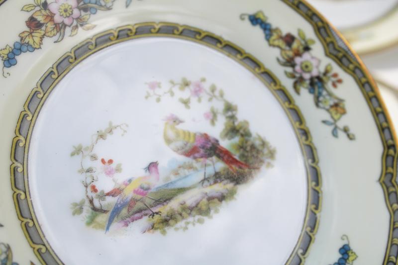 photo of pheasants pattern vintage Windsor Noritake M mark china bread plates hand painted birds #3
