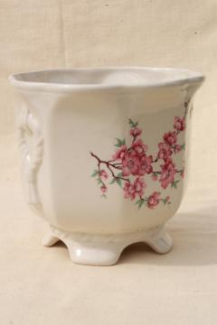 catalog photo of pink flowering cherry or plum blossom cachepot, Arthur Wood English ironstone china planter 