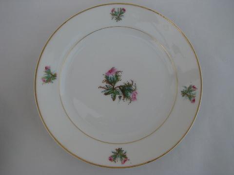 photo of pink roses antique vintage Haviland Limoges china salad plates #2