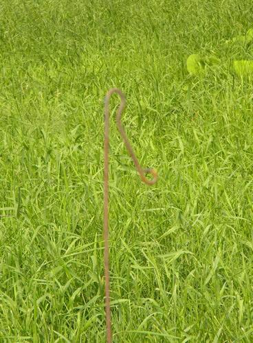 photo of primitive antique iron wire chicken catcher farm barnyard tool #2