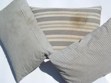 catalog photo of primitive old feather pillows, vintage blue stripe cotton ticking fabric