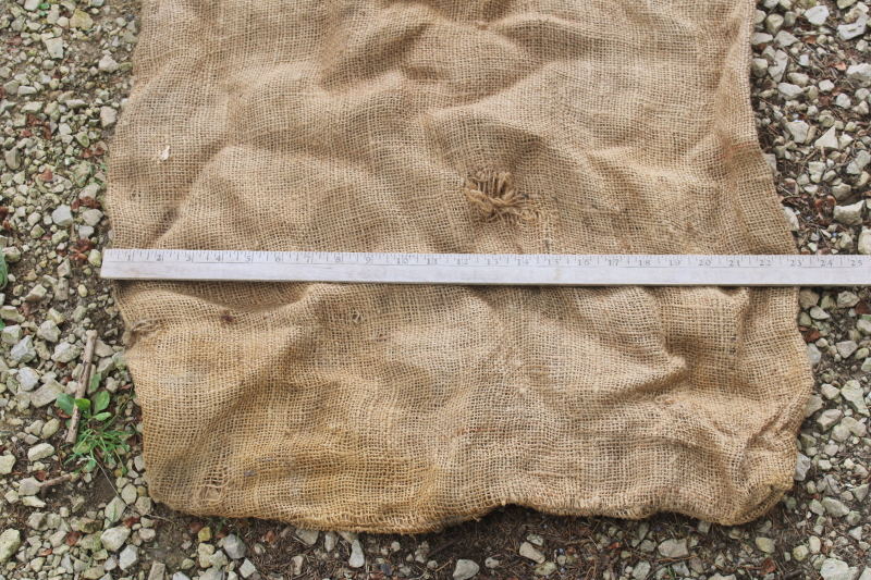 photo of  primitive vintage burlap bag, old potato sack with California Gold Bell graphics  #16