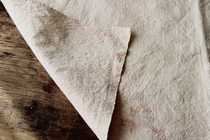photo of primitive vintage cotton feed sack grain bag fabric w/ old seed corn print graphics #3