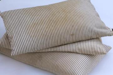 catalog photo of primitive vintage feather pillows with indigo blue striped cotton ticking