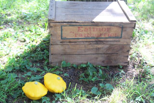 photo of primitive vintage wood box, Eatmor Cranberries fruit crate, rustic farmhouse storage #3