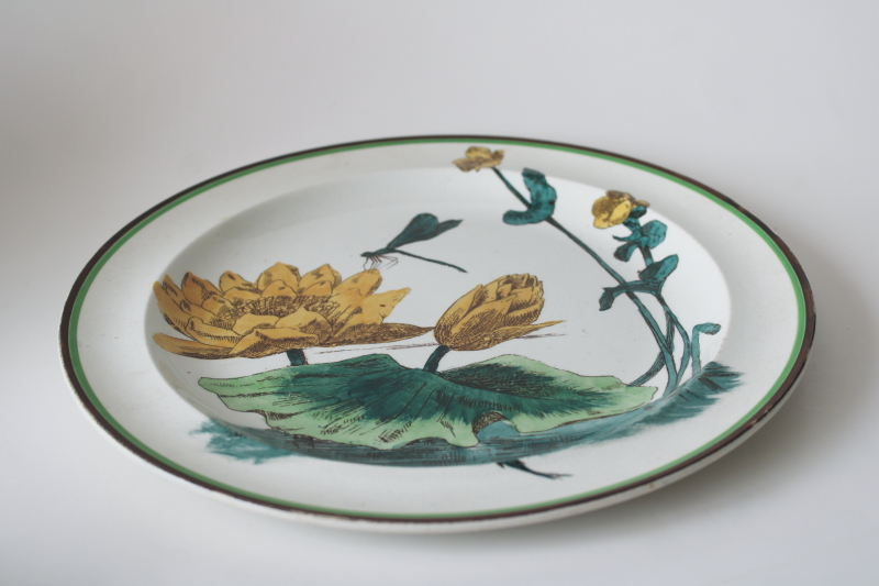 photo of rare aesthetic antique Wedgwood china plate, dragonfly insect & water lilies art nouveau vintage  #2