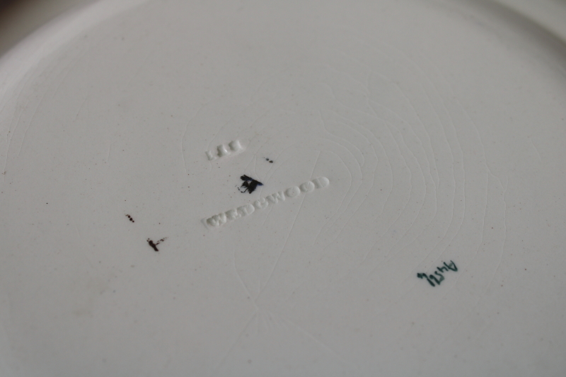 photo of rare aesthetic antique Wedgwood china plate, dragonfly insect & water lilies art nouveau vintage  #6