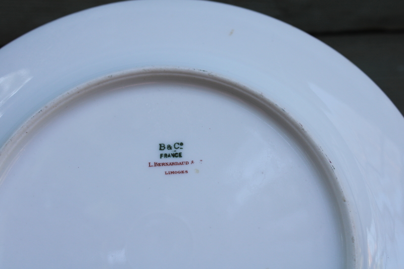 photo of rare antique Bernardaud Limoges china plates japonesque floral garden w/ cranes birds chinoiserie  #6