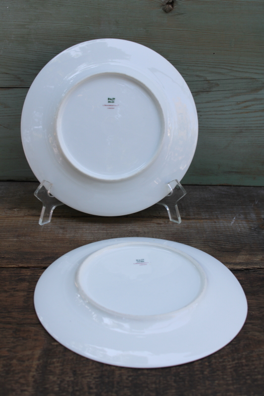 photo of rare antique Bernardaud Limoges china plates japonesque floral garden w/ cranes birds chinoiserie  #7