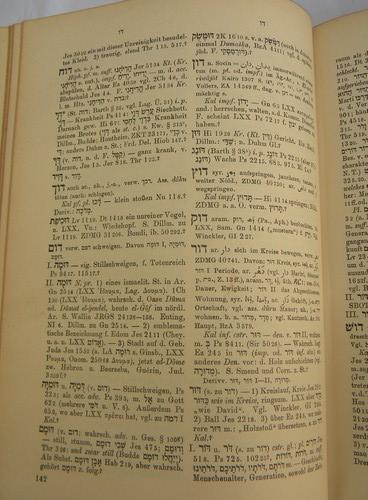 photo of rare antique German to Hebrew/Aramaic handbook/dictionary bible study #5