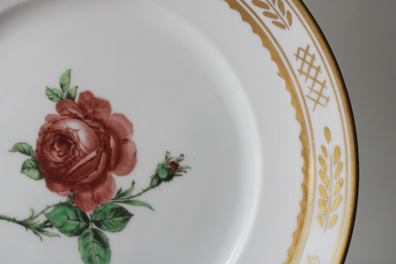 photo of rare vintage Royal Copenhagen china dinner plate, rose botanical floral w/ gold laurel border  #2