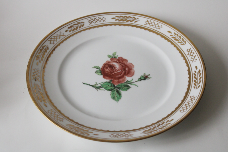 photo of rare vintage Royal Copenhagen china dinner plate, rose botanical floral w/ gold laurel border  #3