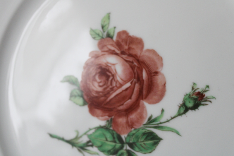 photo of rare vintage Royal Copenhagen china dinner plate, rose botanical floral w/ gold laurel border  #5