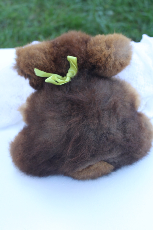 photo of real fur soft fluffy brown koala bear New Zealand Opossum label stuffed animal #3