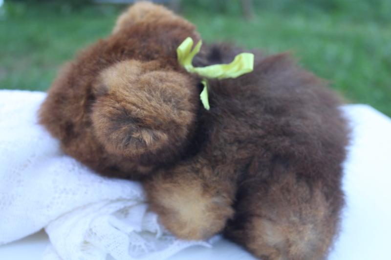 photo of real fur soft fluffy brown koala bear New Zealand Opossum label stuffed animal #6