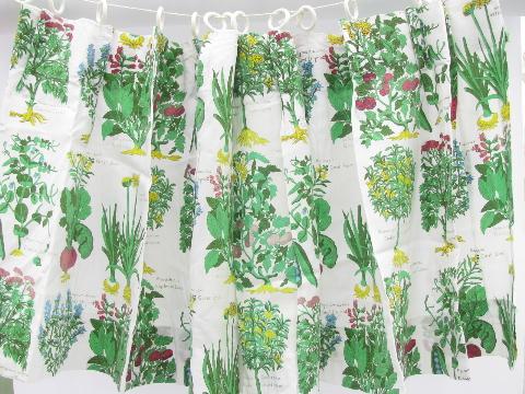 photo of retro kitchen botanical latin herbs & vegetables print cafe curtains #2