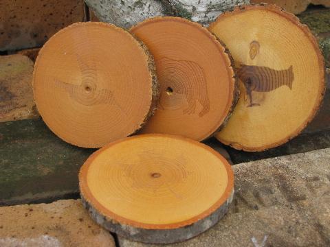 photo of rough wood coasters for lodge, cabin or camp, log slices w/ bark #1