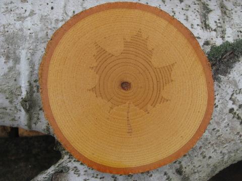 photo of rough wood coasters for lodge, cabin or camp, log slices w/ bark #2