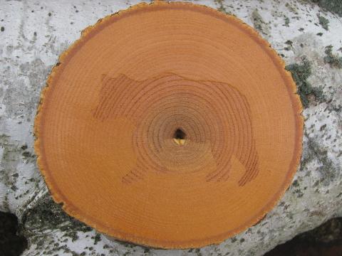 photo of rough wood coasters for lodge, cabin or camp, log slices w/ bark #4