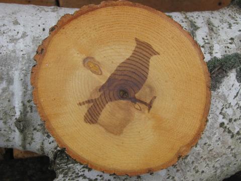 photo of rough wood coasters for lodge, cabin or camp, log slices w/ bark #5