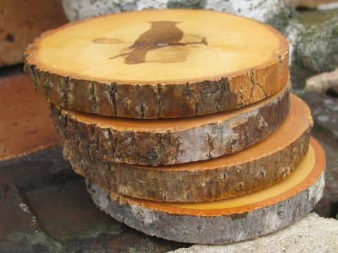 photo of rough wood coasters for lodge, cabin or camp, log slices w/ bark #6