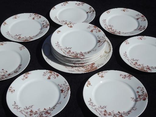 photo of russet brown flowers antique Limoges - France china, 12 plates and platter #1