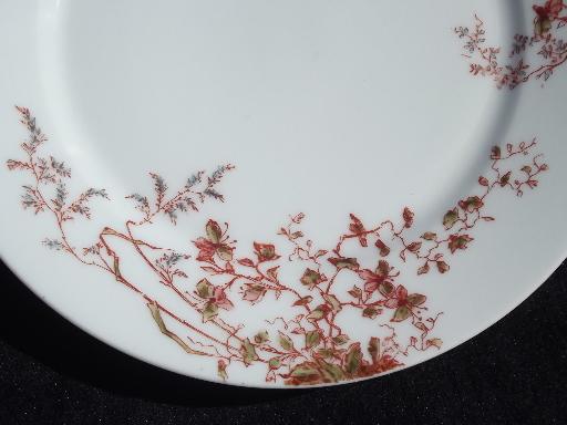 photo of russet brown flowers antique Limoges - France china, 12 plates and platter #5