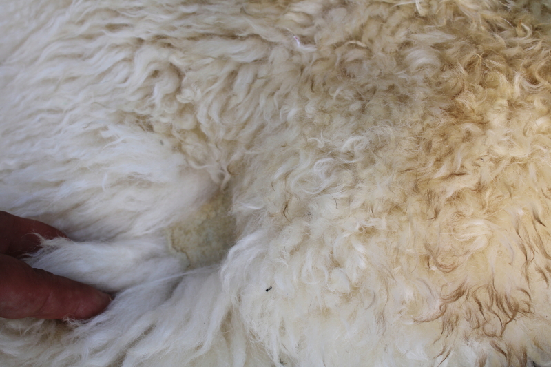 photo of rustic boho decor sheepskin hide soft fur rug or mat, fluffy natural wool  #6