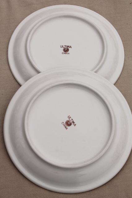 photo of rustic heavy ironstone dinner plates w/ brown brushstroke border, Ultima restaurant china #6