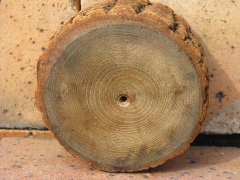 photo of rustic old rough wood bark log box, hand-painted Christmas flower #6