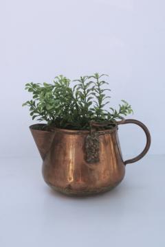 catalog photo of rustic vintage planter pot tarnished copper kettle, brass lion heads & handle 