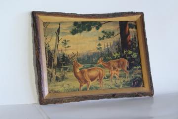 catalog photo of rustic vintage tree bark frame w/ woodland deer print, paint by number style